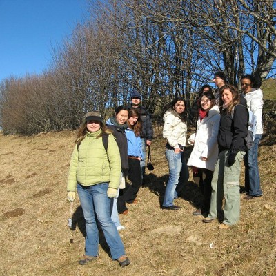 Agroforestry site FEM 2007