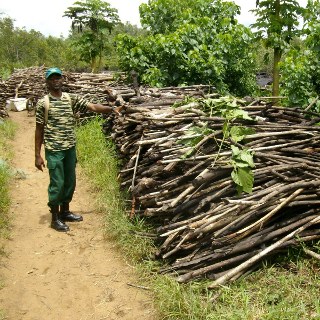 ecosystem management in cameroun