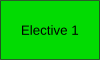 Elective 1