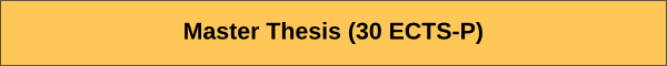 Master Thesis