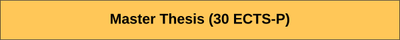 Master Thesis