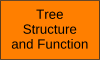 tree structure and function