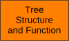 Tree Structure and Function