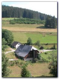 schwarzwald beschattet