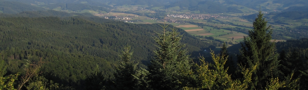 Banner Black Forest
