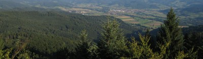 Banner Black Forest