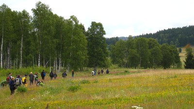 Hike in a bird protection area - small