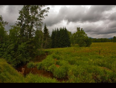 Bird Protection Area - small